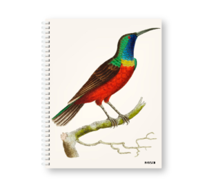 Caderno Wire-o Capa Dura Rabisco - Coleção Aves (Diversos tamanhos) 05