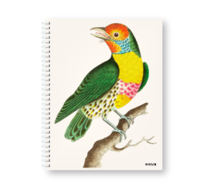 Caderno Wire-o Capa Dura Rabisco - Coleção Aves (Diversos tamanhos) 04