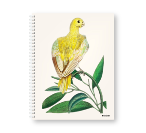 Caderno Wire-o Capa Dura Rabisco - Coleção Aves (Diversos tamanhos) 02