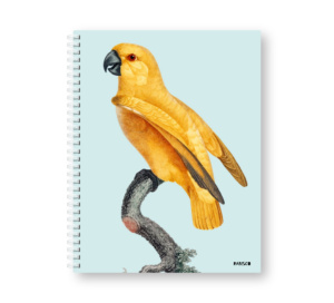 Caderno Wire-o Capa Dura Rabisco - Coleção Aves (Diversos tamanhos)